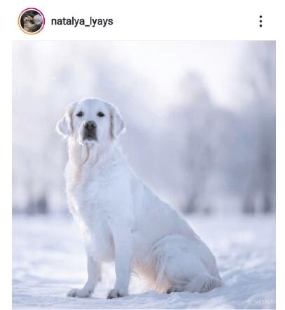 Фото для продающего поста - примеры