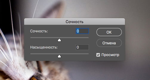 Сочность