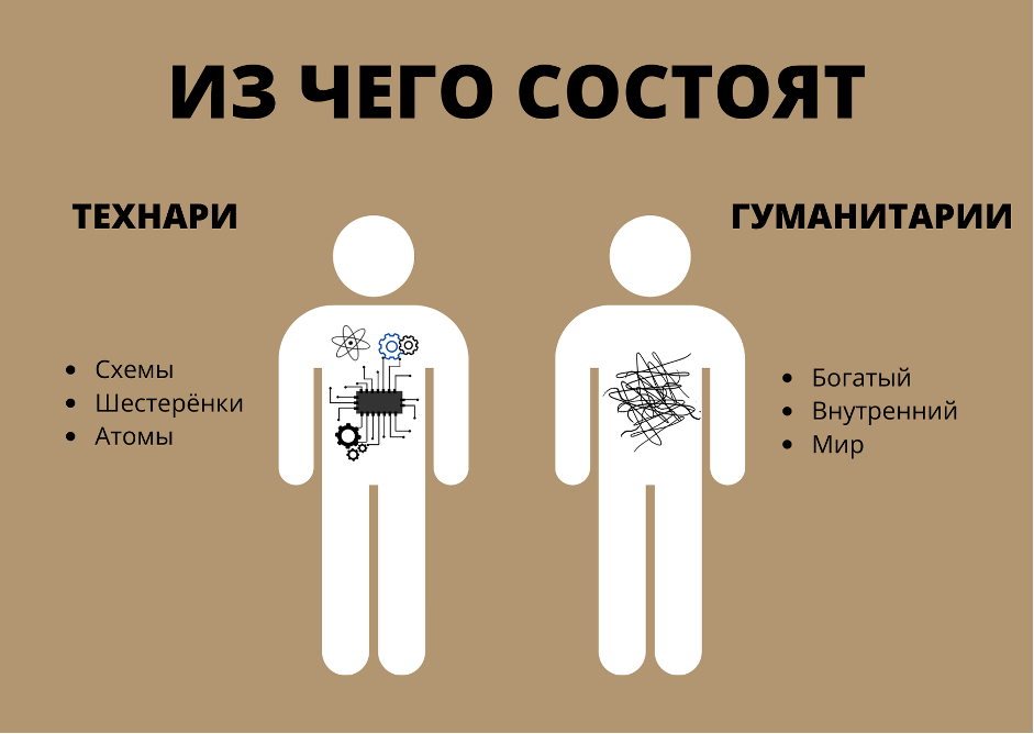 Чем отличается гуманитарий от технаря — деление по полушариям мозга