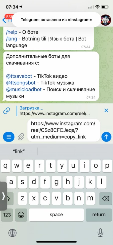 Отправьте ссылку на reels боту