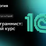 Матвей Серёгин, Системный архитектор сервиса «1С:БухОбслуживание» в фирме «1С»