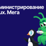 Роза Галеева, Системный инженер Juniper Networks