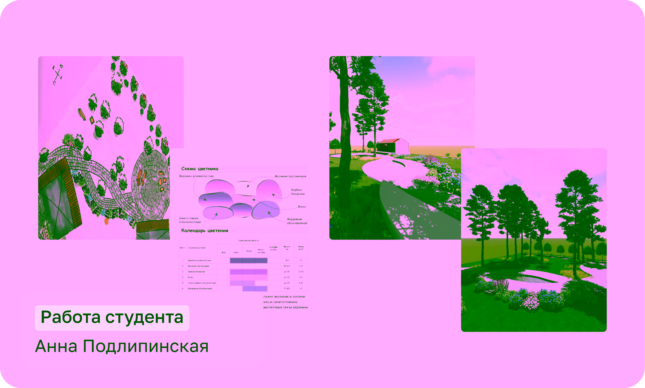 Влад Обласов, Дизайнер
