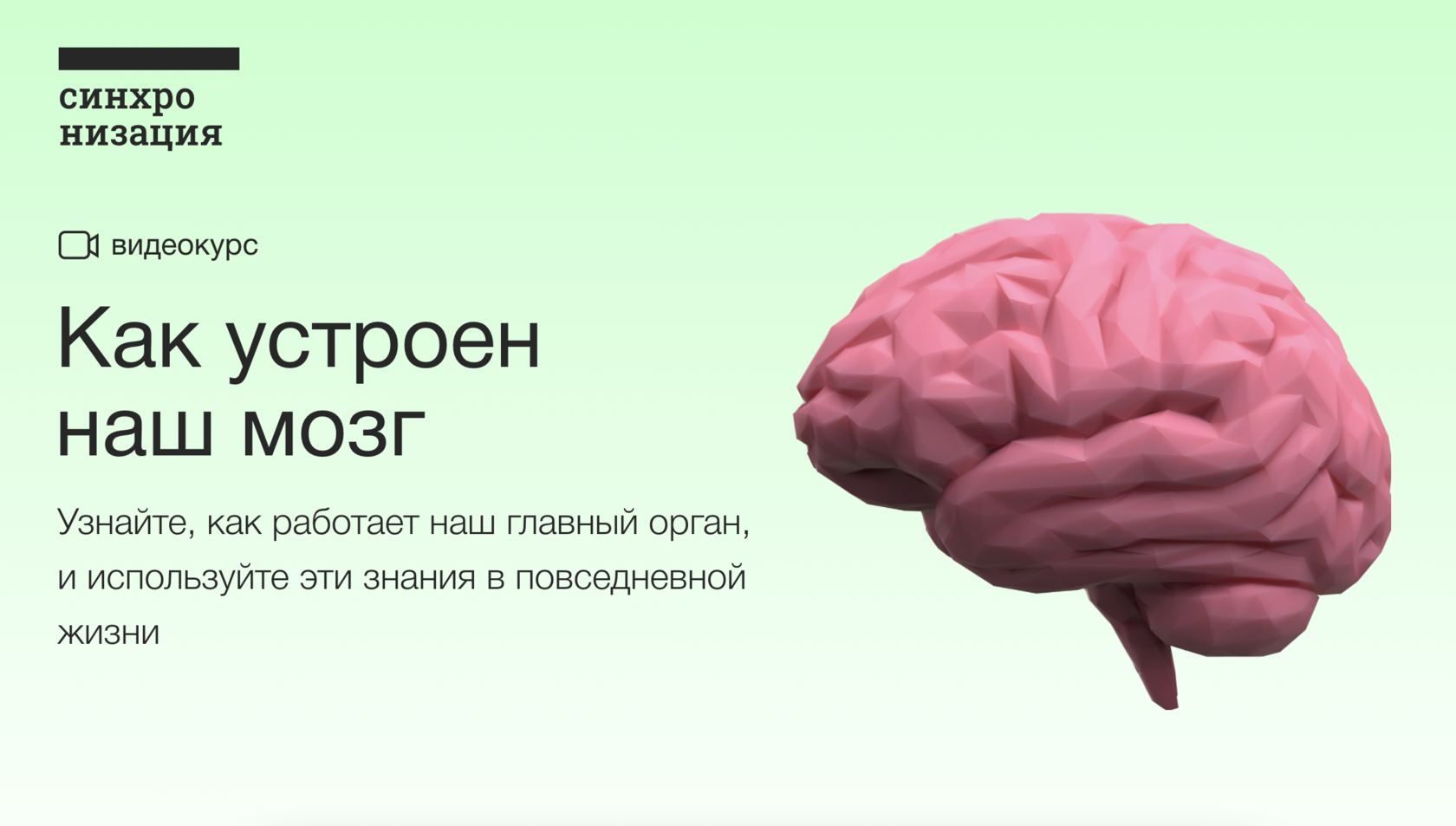Вячеслав Дубынин, Профессор биологического факультета МГУ им. М.В. Ломоносова