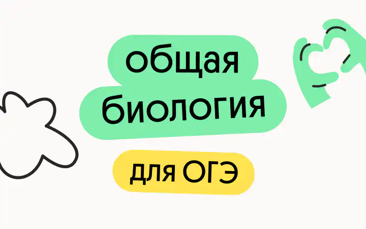 Мира Леви, Преподаватель биологии в онлайн-школе Вебиум