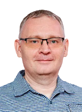 Ремизов Дмитрий Геннадиевич, Экономист-менеджер