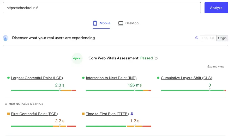Screenshot Checkroi прошёл тест на Core Web Vitals
