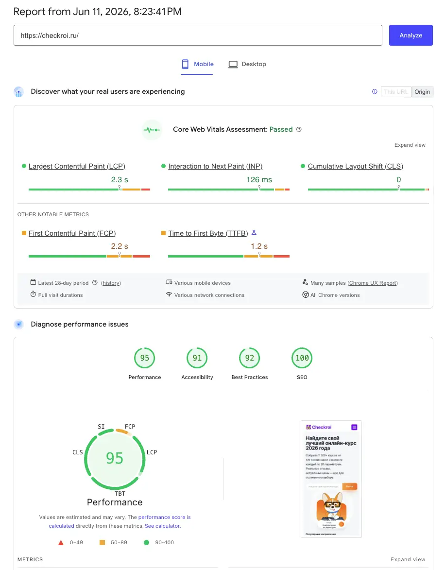 Screenshot отчет Pagespeed по главной Checkroi