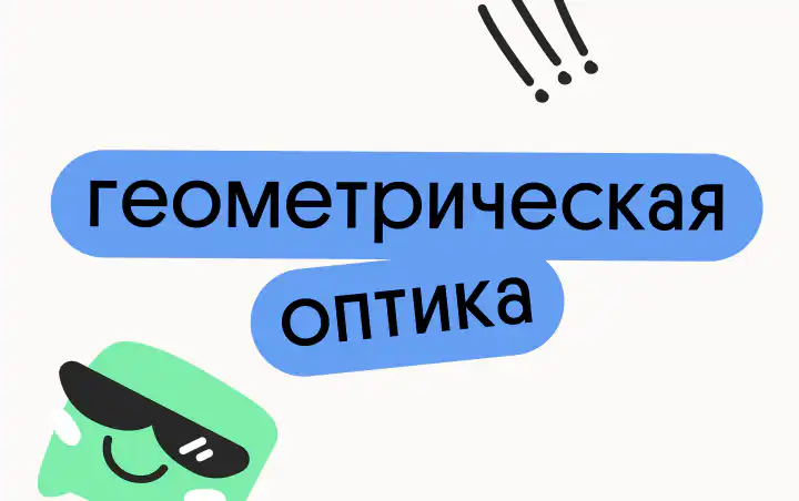 Снежана Планк, Преподаватель физики