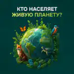 Алсу Юнусова, Провизор, выпускница Казанского государственного медицинского университета