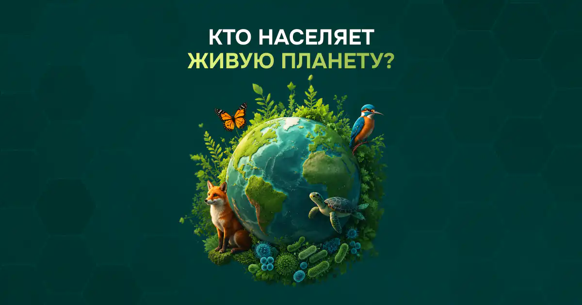 Алсу Юнусова, Провизор, выпускница Казанского государственного медицинского университета