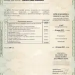 Антонова Светлана Ивановна, Эксперт в психологии и педагогике