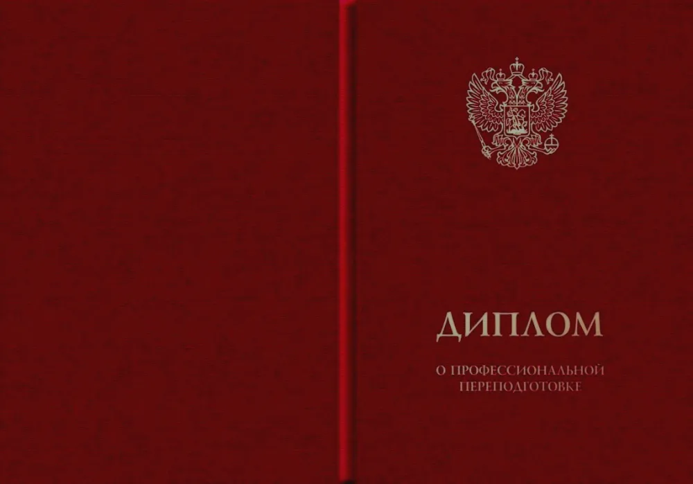 Пальгуева Татьяна Вячеславовна, Эксперт в бухучёте и аудите