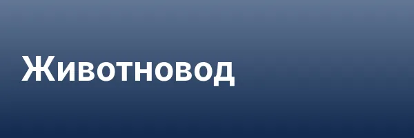 Животновод