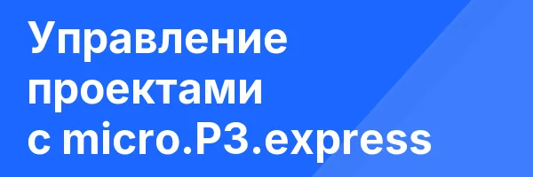 Управление проектами с micro.P3.express