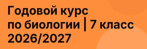 Годовой курс по биологии | 7 класс 2026/2027