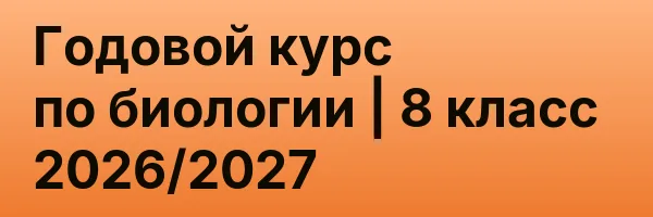 Годовой курс по биологии | 8 класс 2026/2027