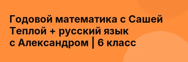 Годовой математика с Сашей Теплой + русский язык с Александром | 6 класс