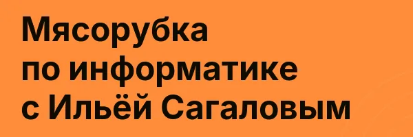 Мясорубка по информатике с Ильёй Сагаловым