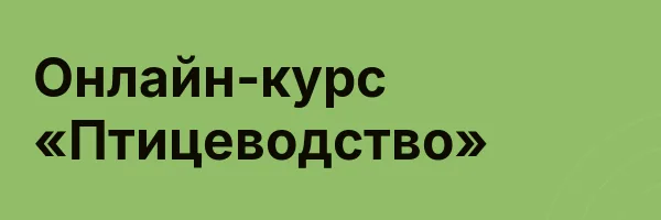 Онлайн-курс «Птицеводство»
