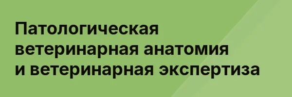 Патологическая ветеринарная анатомия и ветеринарная экспертиза