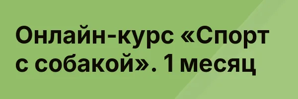 Онлайн-курс «Спорт с собакой». 1 месяц