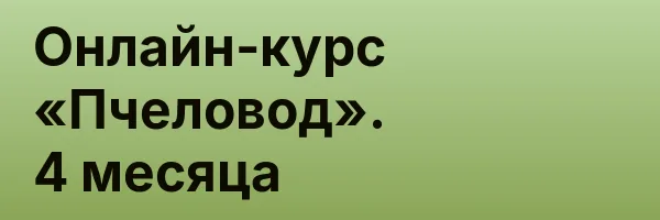 Онлайн-курс «Пчеловод». 4 месяца