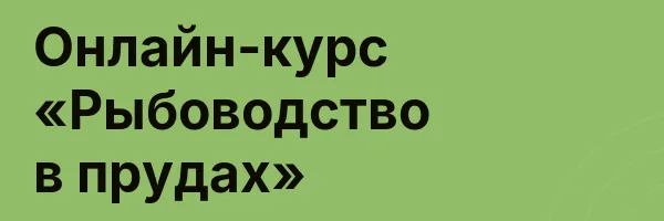 Онлайн-курс «Рыбоводство в прудах»