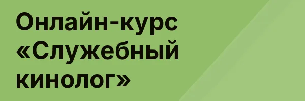 Онлайн-курс «Служебный кинолог»