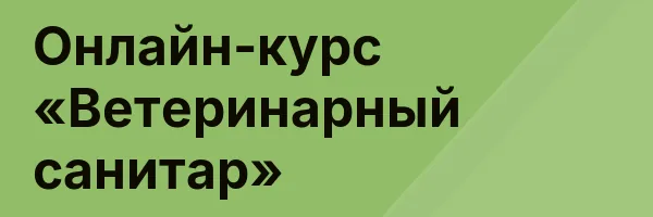 Онлайн-курс «Ветеринарный санитар»