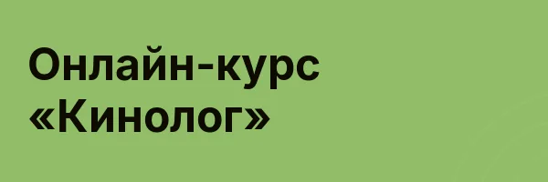 Онлайн-курс «Кинолог»