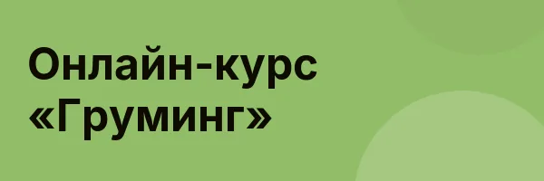 Онлайн-курс «Груминг»