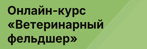 Онлайн-курс «Ветеринарный фельдшер»