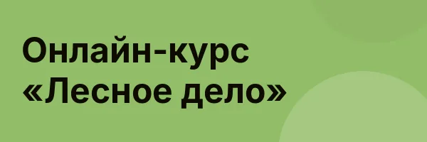 Онлайн-курс «Лесное дело»