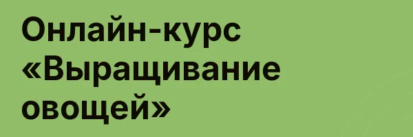 Онлайн-курс «Выращивание овощей»