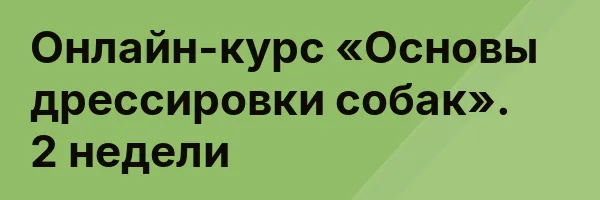 Онлайн-курс «Основы дрессировки собак». 2 недели