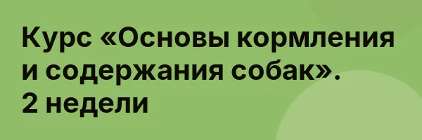 Курс «Основы кормления и содержания собак». 2 недели