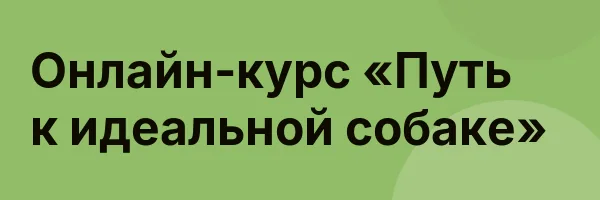 Онлайн-курс «Путь к идеальной собаке»
