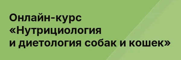 Онлайн-курс «Нутрициология и диетология собак и кошек»