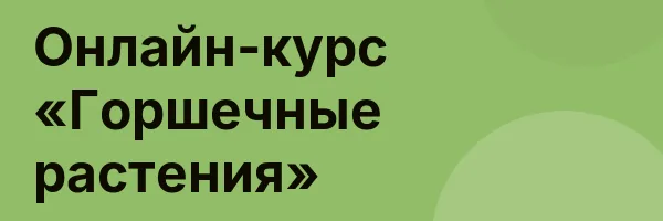 Онлайн-курс «Горшечные растения»