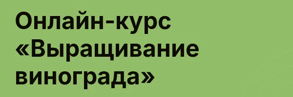 Онлайн-курс «Выращивание винограда»