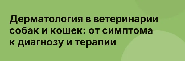 Дерматология в ветеринарии собак и кошек: от симптома к диагнозу и терапии
