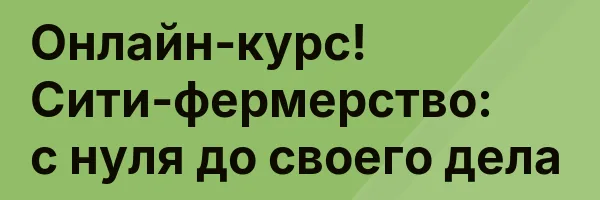 Онлайн-курс! Сити-фермерство: с нуля до своего дела