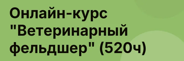 Онлайн-курс «Ветеринарный фельдшер» (520ч)