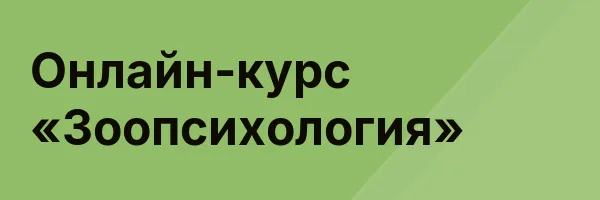 Онлайн-курс «Зоопсихология»