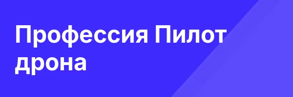 Профессия  Пилот дрона