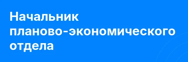 Начальник планово-экономического отдела