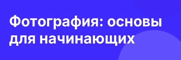 Фотография: основы для начинающих