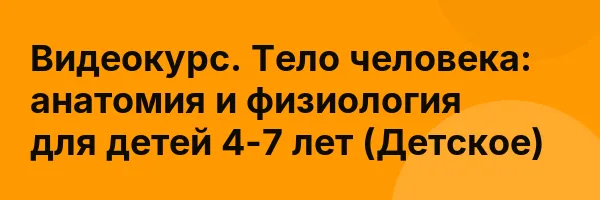 Видеокурс. Тело человека: анатомия и физиология для детей 4-7 лет (Детское)