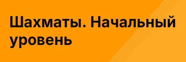 Шахматы. Начальный уровень